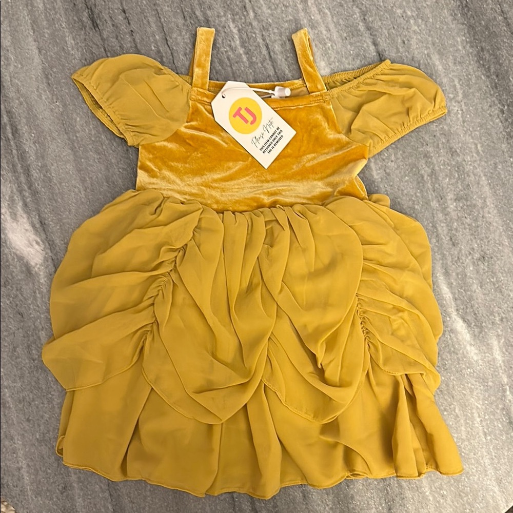 NWT Taylor Joelle Beauty Ball Dress (3T)